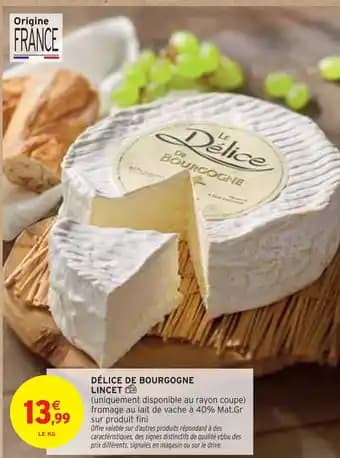 LINCET Délice de bourgogne