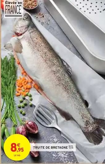 Truite de Bretagne