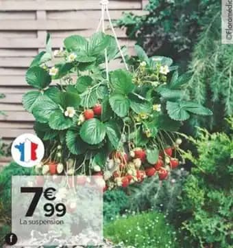 Promotion Exclusives de 20
Suspension : Découvrez l'Offre incontournable