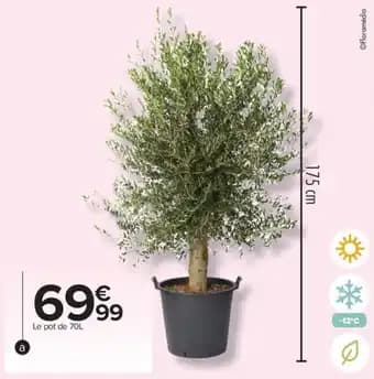 Promotion Exclusives de 1
Hauteur : Découvrez l'Offre incontournable