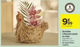 Promotion Exclusives de 10
            
        
        En osier : Découvrez l'Offre incontournable