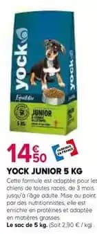 Promotion Exclusives de 28
Junior : Découvrez l'Offre incontournable