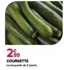 Promotion Exclusives de 14
Courgette : Découvrez l'Offre incontournable
