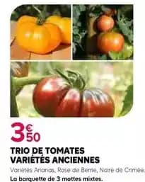 Promotion Exclusives de 73
De tomates : Découvrez l'Offre incontournable