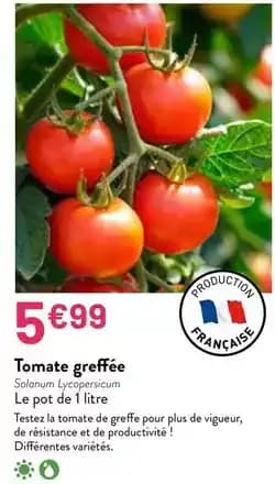 Promotion Exclusives de 66
Tomate : Découvrez l'Offre incontournable