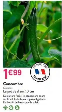 Promotion Exclusives de 23
Concombre : Découvrez l'Offre incontournable