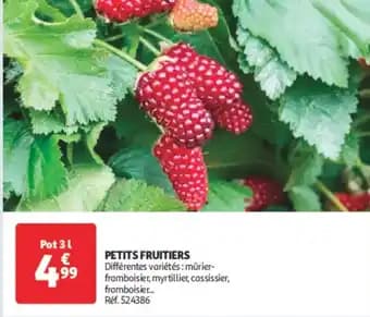 Promotion Exclusives de 94
Petits : Découvrez l'Offre incontournable