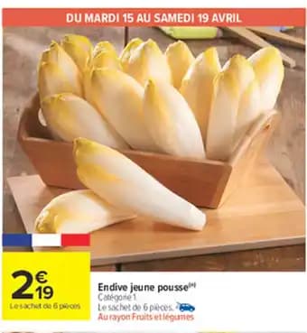 Endive jeune pousse