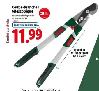 Promotion Exclusives de 4
Coupe branches télescopique : Découvrez l'Offre incontournable
