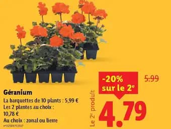 Promotion Exclusives de 31
Géranium : Découvrez l'Offre incontournable