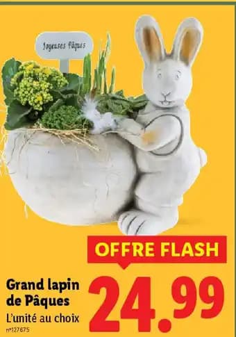 Promotion Exclusives de 10
Lapin de pâques : Découvrez l'Offre incontournable