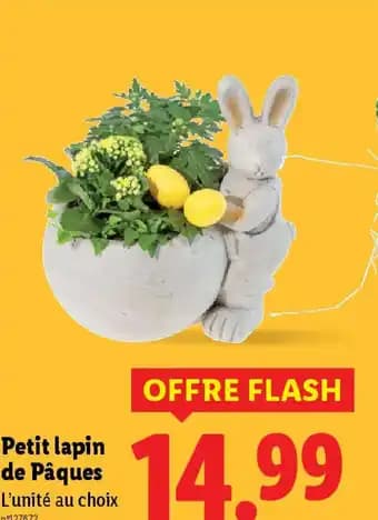 Petit lapin de Pâques