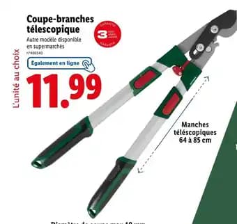 Coupe-branches télescopique
