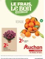 Catalogue Auchan en ligne du 21 octobre au 02 novembre 2025