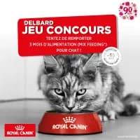 Catalogue Delbard en ligne du 04 au 09 novembre 2025